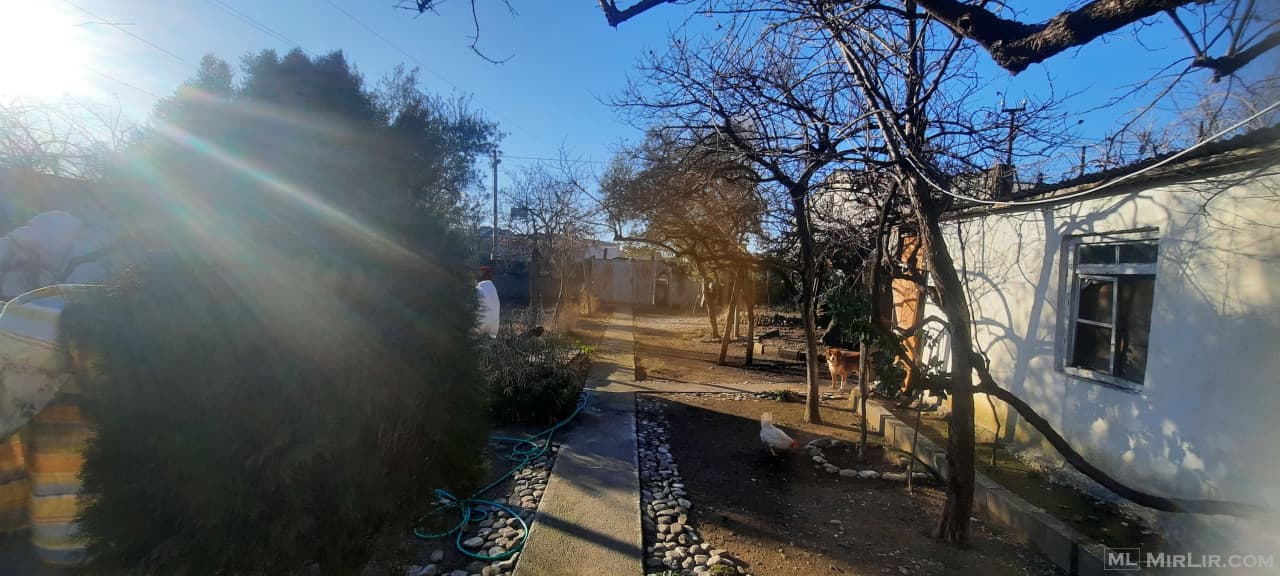 Shitet prona Shkoder